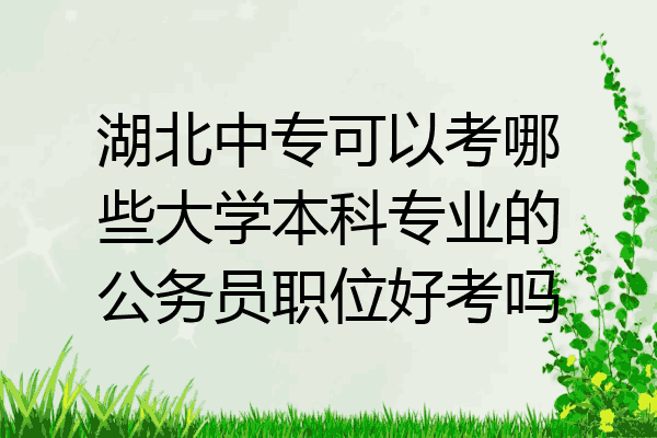湖北中专可以考哪些大学本科专业的公务员职位好考吗