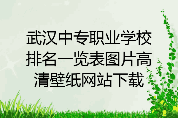 武汉中专职业学校排名一览表图片高清壁纸网站下载