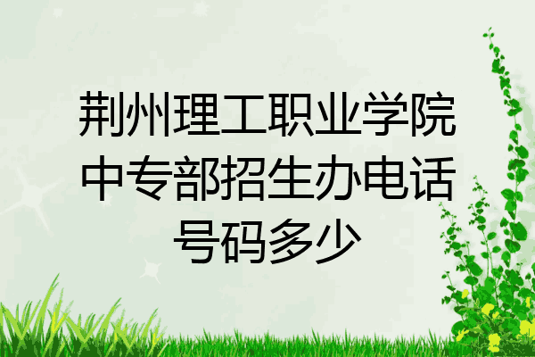 荆州理工职业学院中专部招生办电话号码多少