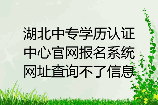 湖北中专学历认证中心官网报名系统网址查询不了信息