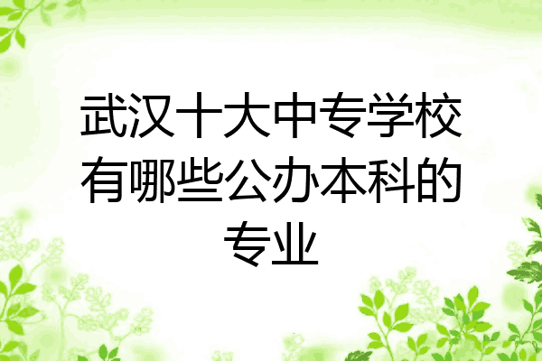 武汉十大中专学校有哪些公办本科的专业