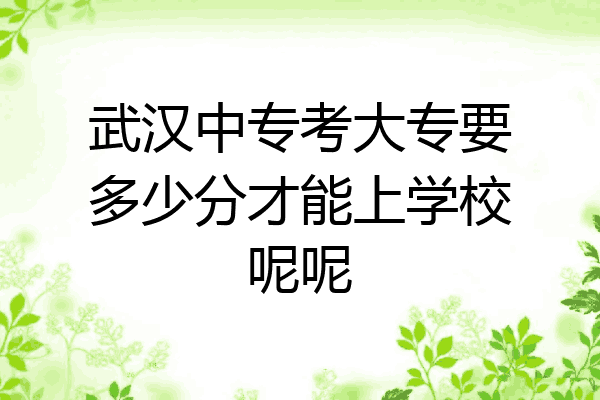 武汉中专考大专要多少分才能上学校呢呢