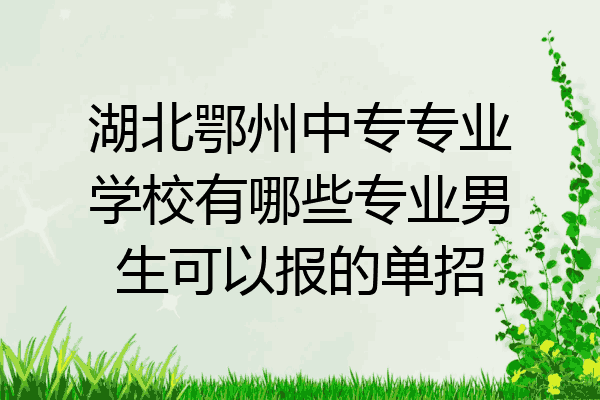 湖北鄂州中专专业学校有哪些专业男生可以报的单招