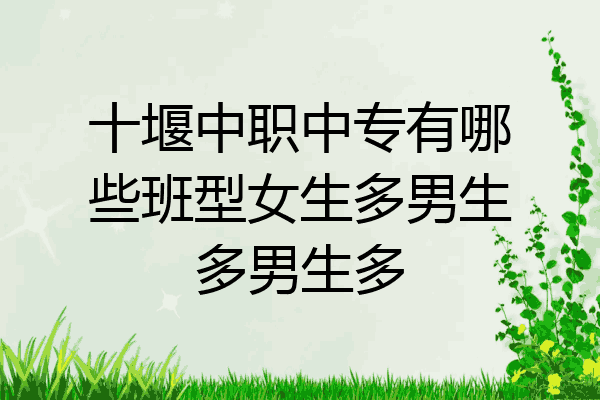 十堰中职中专有哪些班型女生多男生多男生多