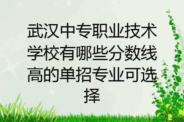 武汉中专职业技术学校有哪些分数线高的单招专业可选择