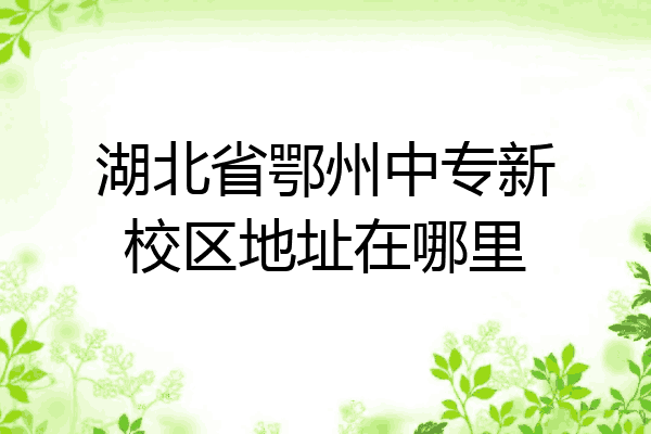 湖北省鄂州中专新校区地址在哪里