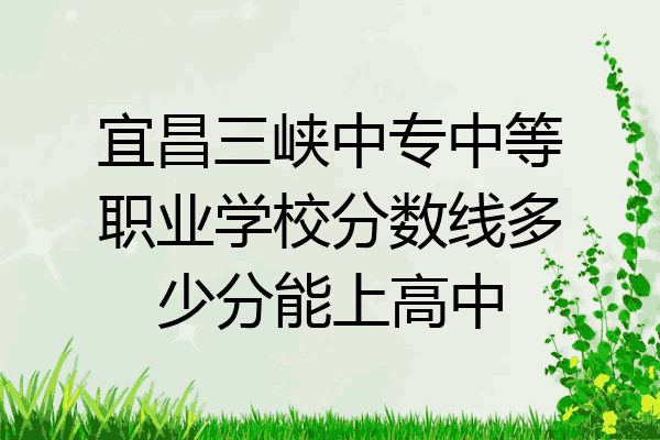 宜昌三峡中专中等职业学校分数线多少分能上高中