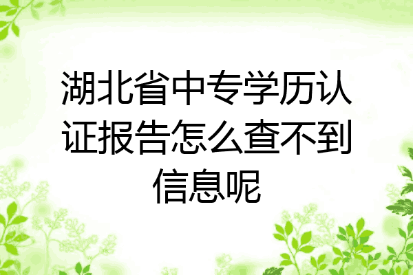 湖北省中专学历认证报告怎么查不到信息呢