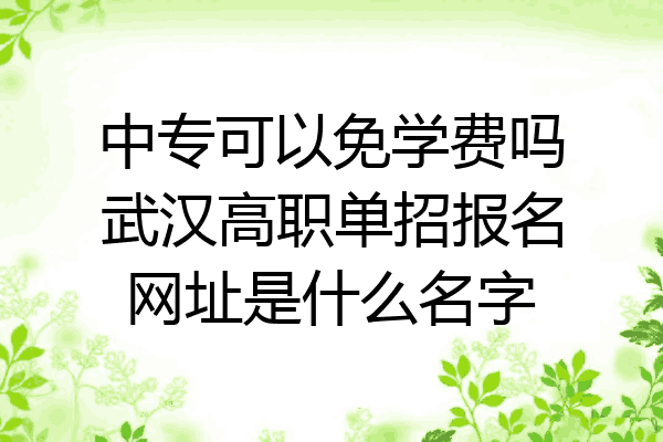 中专可以免学费吗武汉高职单招报名网址是什么名字