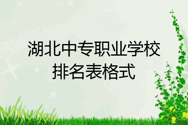 湖北中专职业学校排名表格式