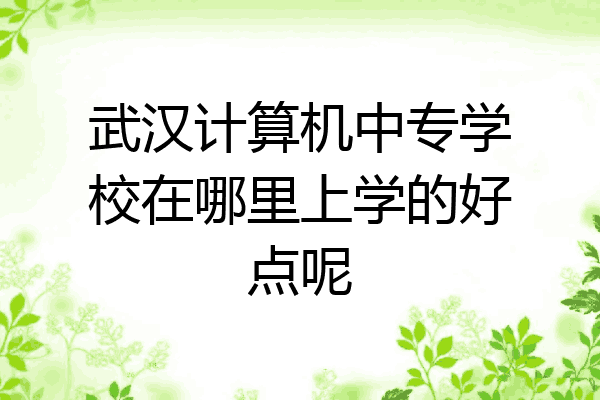 武汉计算机中专学校在哪里上学的好点呢