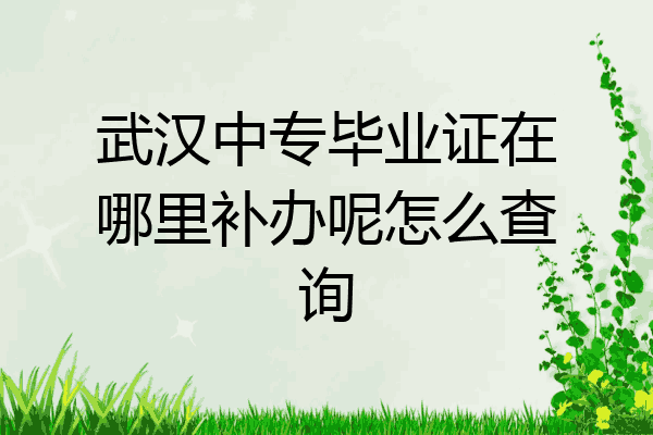 武汉中专毕业证在哪里补办呢怎么查询
