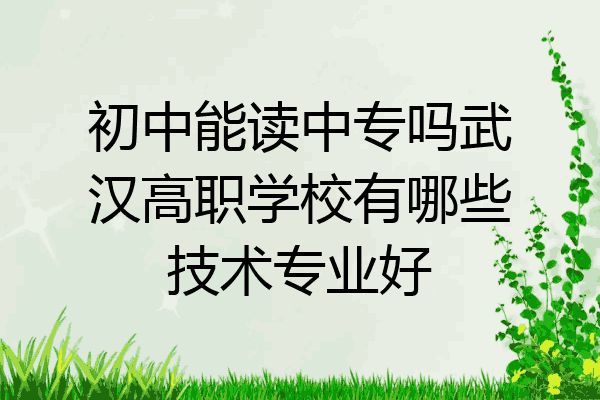 初中能读中专吗武汉高职学校有哪些技术专业好