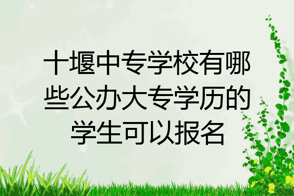 十堰中专学校有哪些公办大专学历的学生可以报名