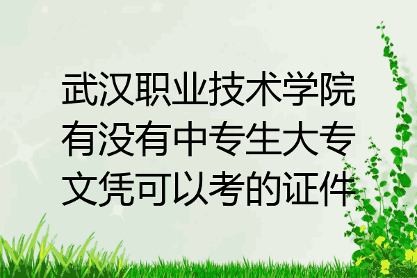 武汉职业技术学院有没有中专生大专文凭可以考的证件