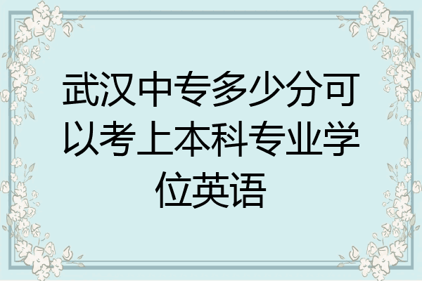 武汉中专多少分可以考上本科专业学位英语