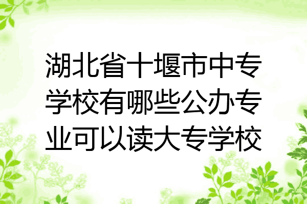 湖北省十堰市中专学校有哪些公办专业可以读大专学校