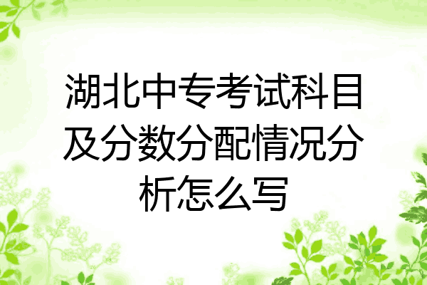 湖北中专考试科目及分数分配情况分析怎么写