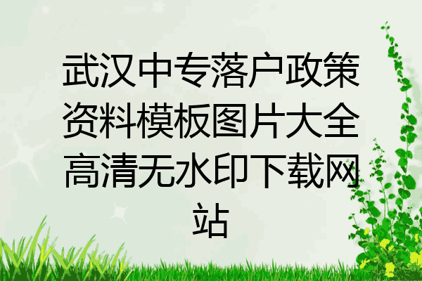 武汉中专落户政策资料模板图片大全高清无水印下载网站