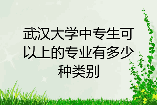 武汉大学中专生可以上的专业有多少种类别