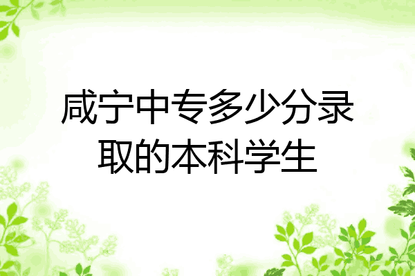 咸宁中专多少分录取的本科学生
