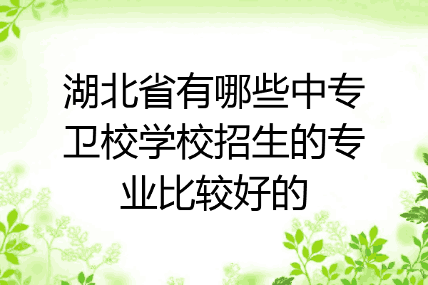 湖北省有哪些中专卫校学校招生的专业比较好的