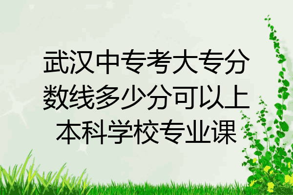 武汉中专考大专分数线多少分可以上本科学校专业课