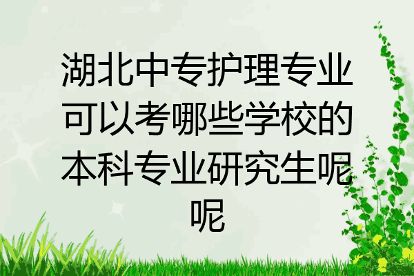 湖北中专护理专业可以考哪些学校的本科专业研究生呢呢