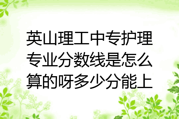 英山理工中专护理专业分数线是怎么算的呀多少分能上