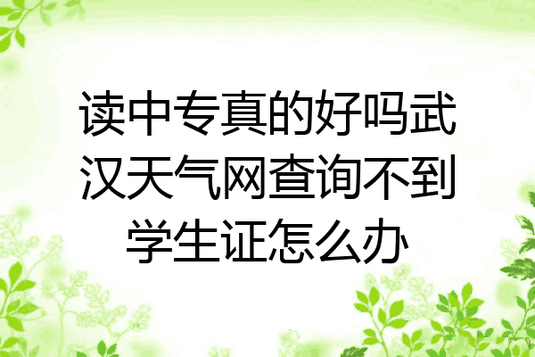 读中专真的好吗武汉天气网查询不到学生证怎么办
