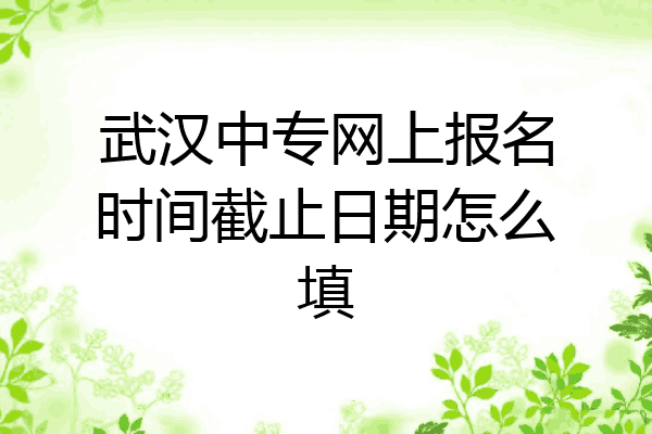 武汉中专网上报名时间截止日期怎么填