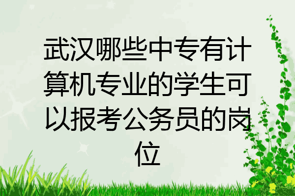 武汉哪些中专有计算机专业的学生可以报考公务员的岗位