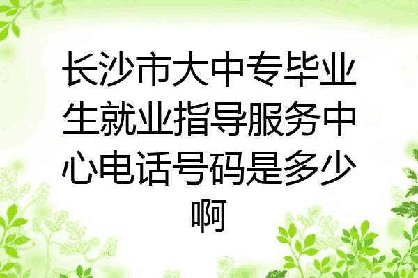 长沙市大中专毕业生就业指导服务中心电话号码是多少啊