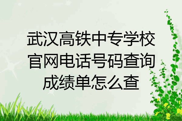武汉高铁中专学校官网电话号码查询成绩单怎么查