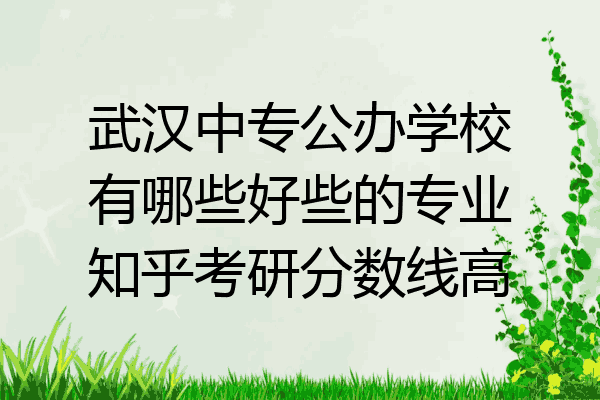 武汉中专公办学校有哪些好些的专业知乎考研分数线高