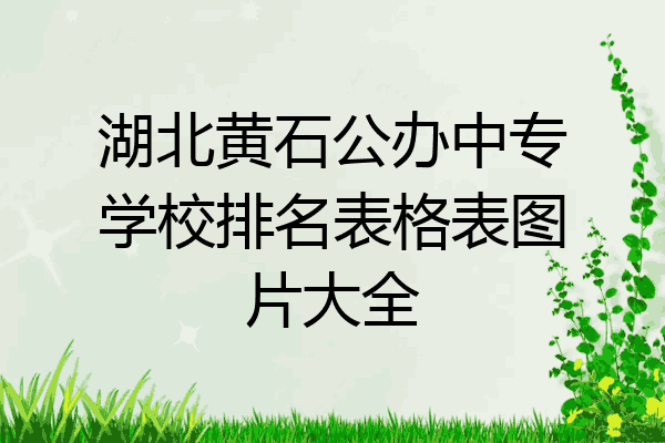 湖北黄石公办中专学校排名表格表图片大全