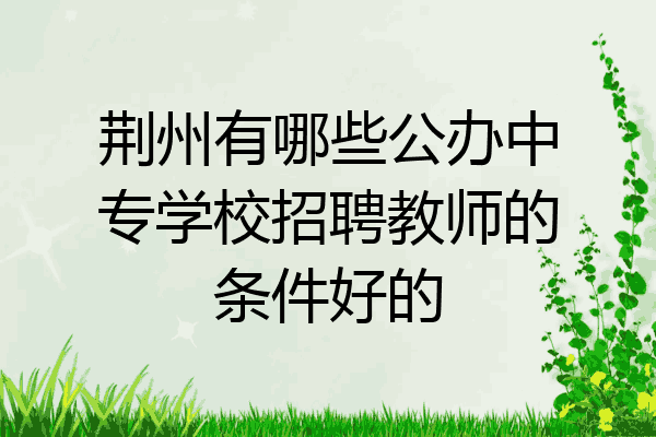 荆州有哪些公办中专学校招聘教师的条件好的