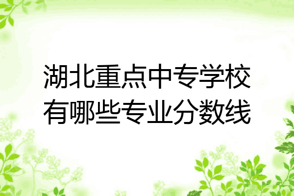 湖北重点中专学校有哪些专业分数线