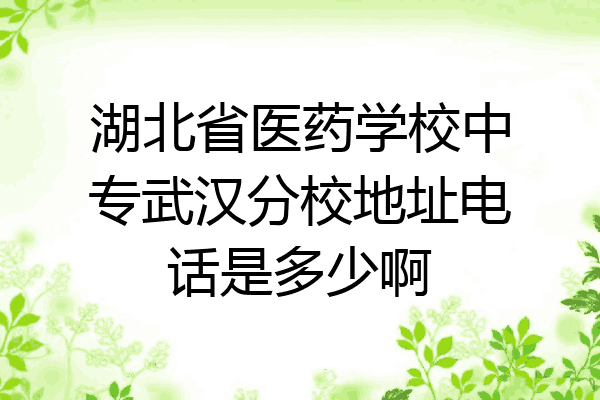 湖北省医药学校中专武汉分校地址电话是多少啊