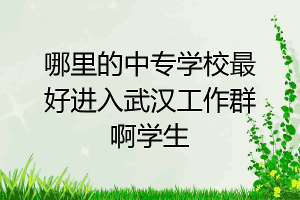 哪里的中专学校最好进入武汉工作群啊学生