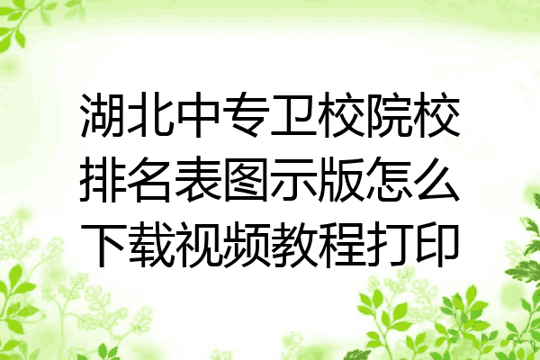 湖北中专卫校院校排名表图示版怎么下载视频教程打印