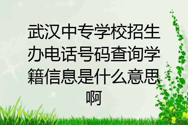 武汉中专学校招生办电话号码查询学籍信息是什么意思啊