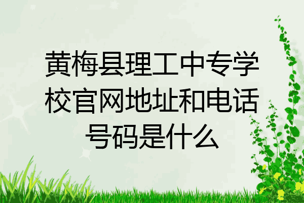 黄梅县理工中专学校官网地址和电话号码是什么