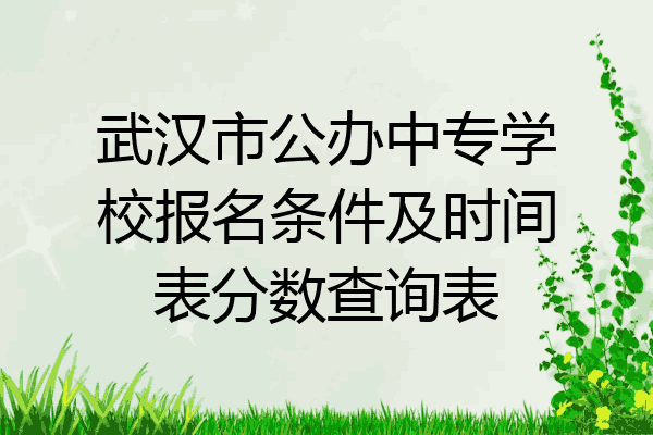 武汉市公办中专学校报名条件及时间表分数查询表
