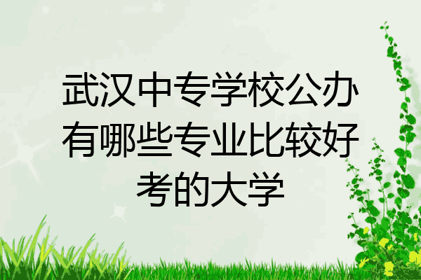 武汉中专学校公办有哪些专业比较好考的大学