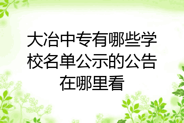 大冶中专有哪些学校名单公示的公告在哪里看