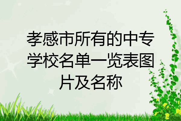 孝感市所有的中专学校名单一览表图片及名称
