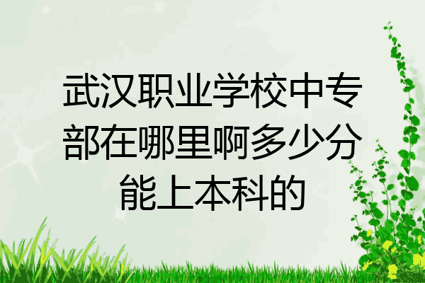 武汉职业学校中专部在哪里啊多少分能上本科的