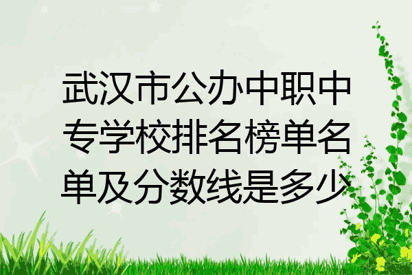 武汉市公办中职中专学校排名榜单名单及分数线是多少