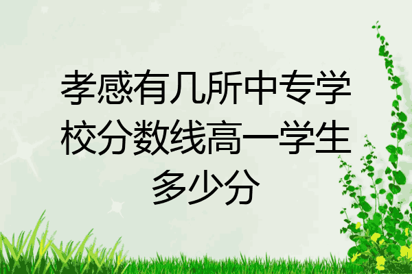 孝感有几所中专学校分数线高一学生多少分